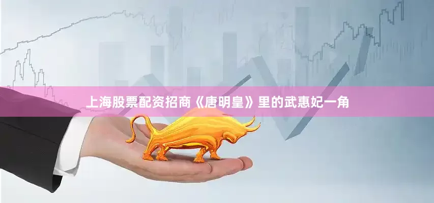 上海股票配资招商《唐明皇》里的武惠妃一角