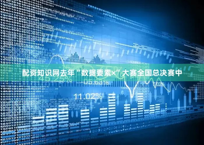 配资知识网去年“数据要素×”大赛全国总决赛中
