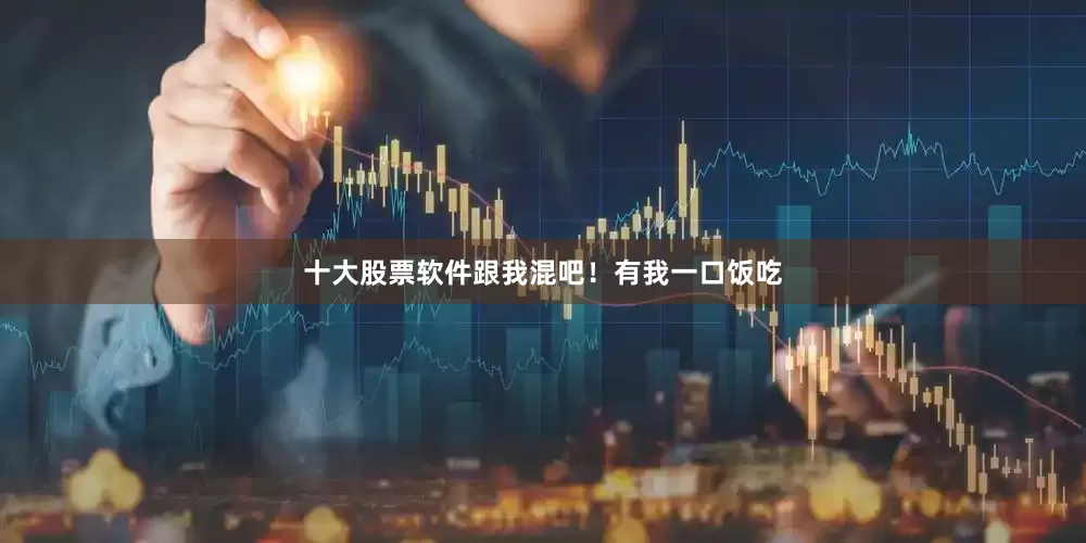 十大股票软件跟我混吧！有我一口饭吃