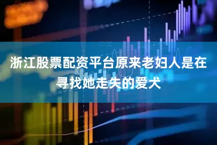 浙江股票配资平台原来老妇人是在寻找她走失的爱犬