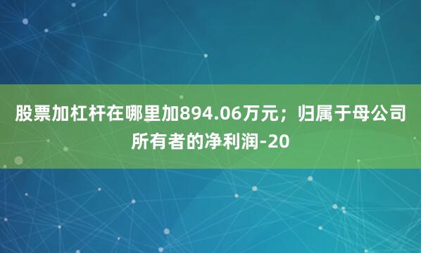 股票加杠杆在哪里加894.06万元；归属于母公司所有者的净利润-20