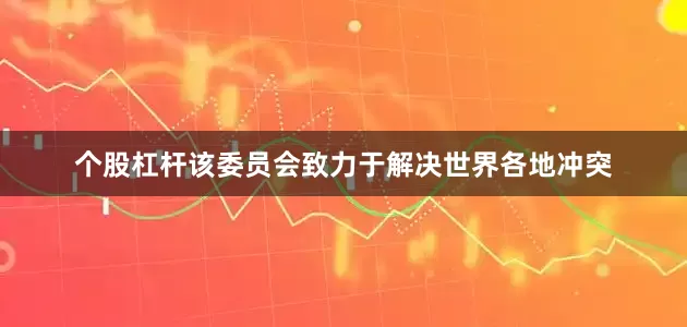 个股杠杆该委员会致力于解决世界各地冲突
