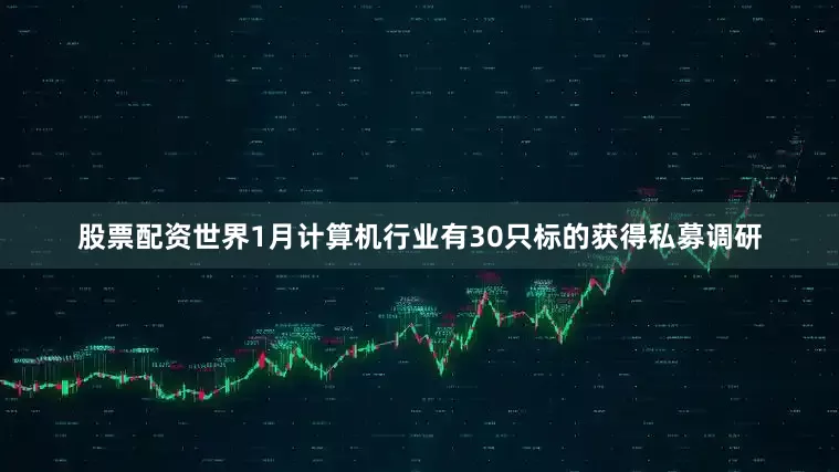 股票配资世界1月计算机行业有30只标的获得私募调研