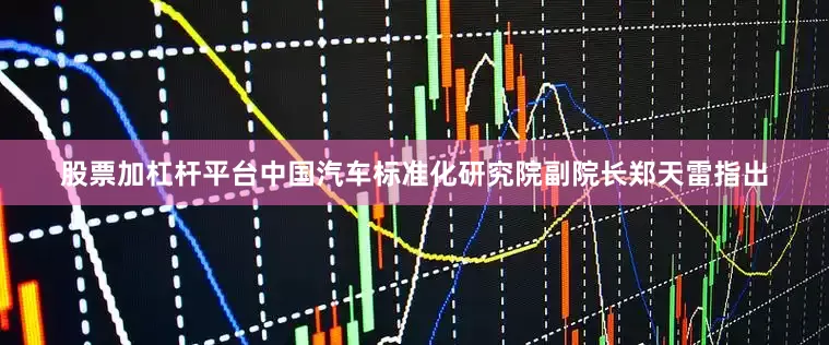 股票加杠杆平台中国汽车标准化研究院副院长郑天雷指出